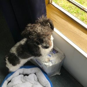 Meet your Posher, Carole